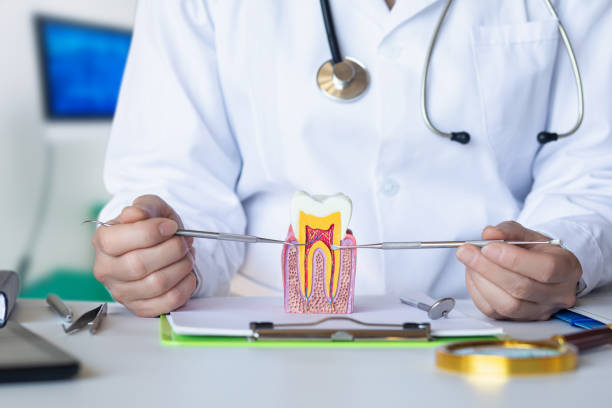 Best Cosmetic Emergency Dentistry in Dianapolis, IN